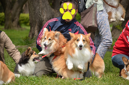 DSC_7282_edited-1