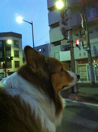 写真 1