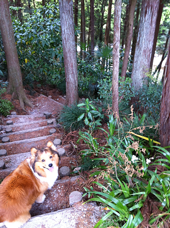 写真 3