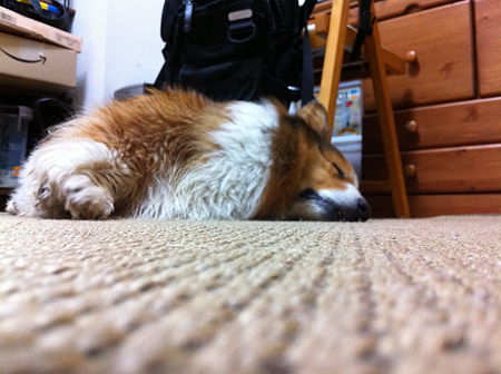 写真 1