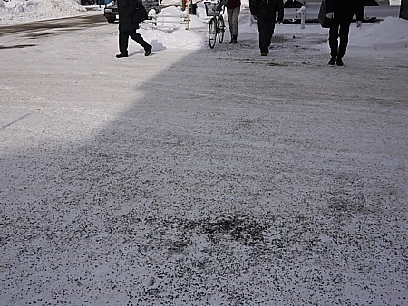 札幌の街を散歩