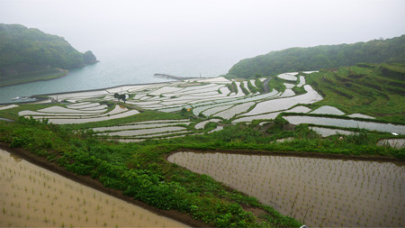 土谷棚田(5)
