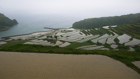 土谷棚田(4)