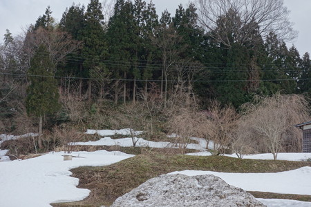 DSC01290