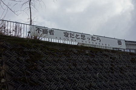 DSC01296