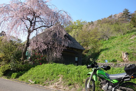 DSC02563