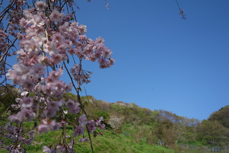 DSC02595