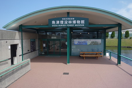 DSC03241
