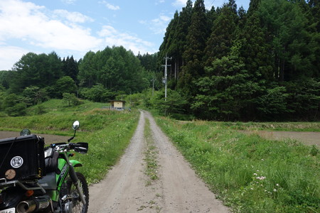 DSC03539