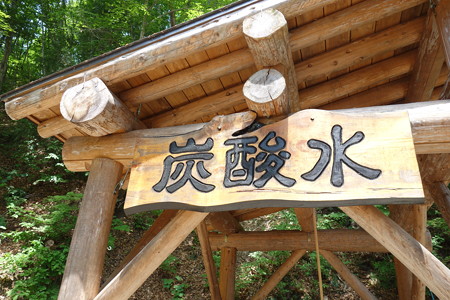 DSC03646