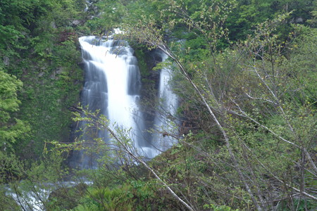 DSC03706