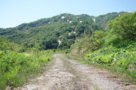 DSC03888