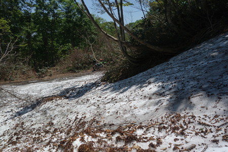 DSC03918