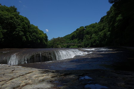 DSC01653