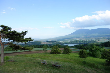 DSC01671