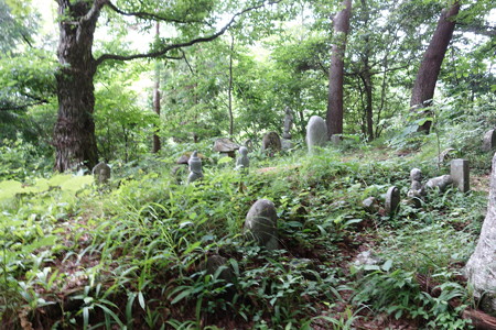 DSC02097