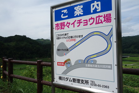 DSC02310