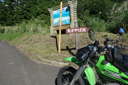 DSC02865