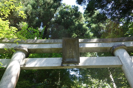 DSC02914