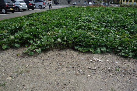 DSC03059