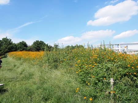 kasairinkaikouen41