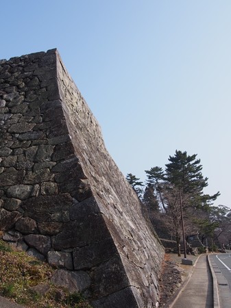 matusakajousi05