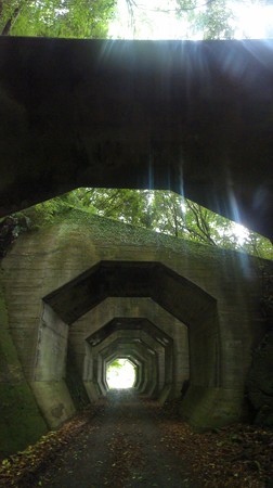 kumanobetetudouikou02
