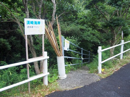 susakikaigan_ehime05