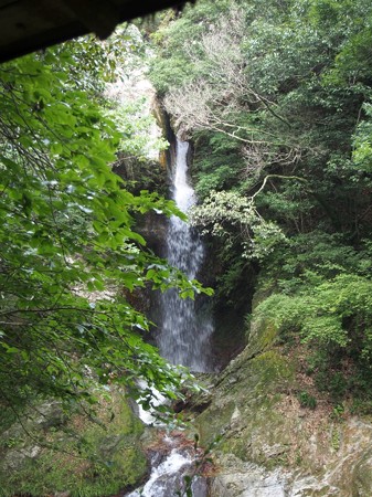 kounotaki_takamatu09