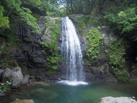 hutinokami_kamikatutyou14