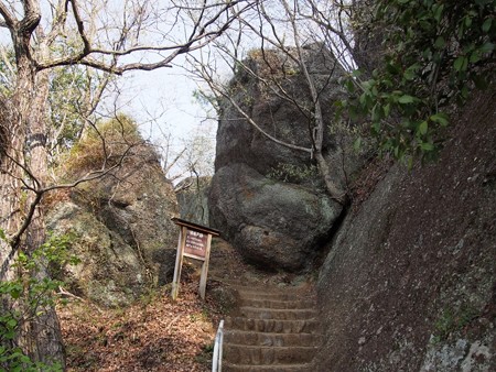 iwadonosan49