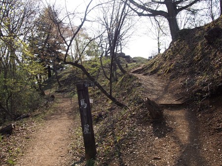 iwadonosan54