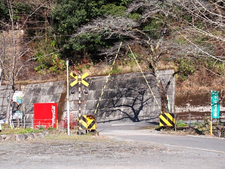 maruyamakouen_yanase13