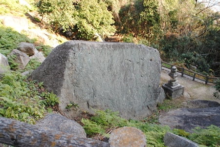 hatininnisi7