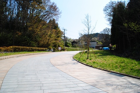 miharutakizakura1