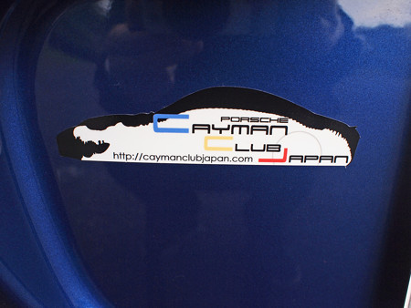 P4262951S