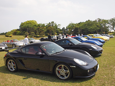 P4262965S