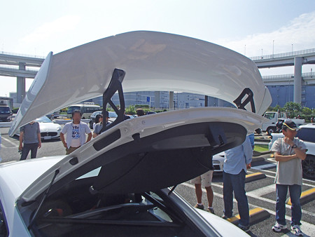 P5310060S