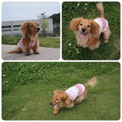 20120624 お散歩2