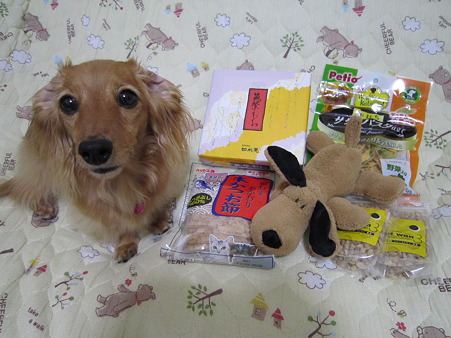 20100928 003