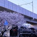 松任駅　北陸新幹線と桜