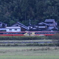 花嫁のれん号