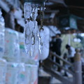 Photos: 尾山神社　ツララ　（拝殿）