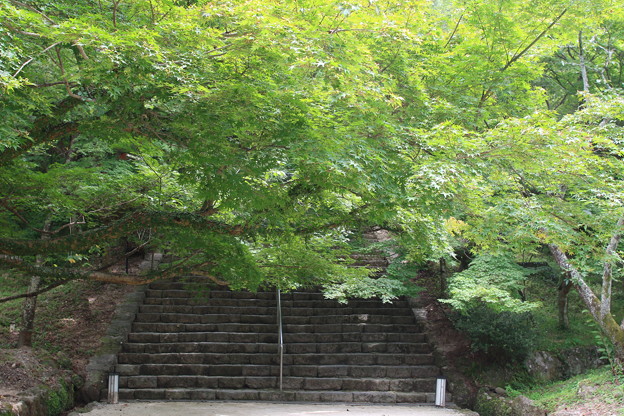 竈門神社入り口