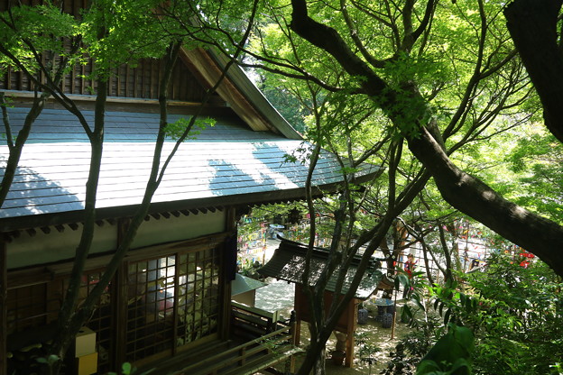 如意輪寺(かえる寺)