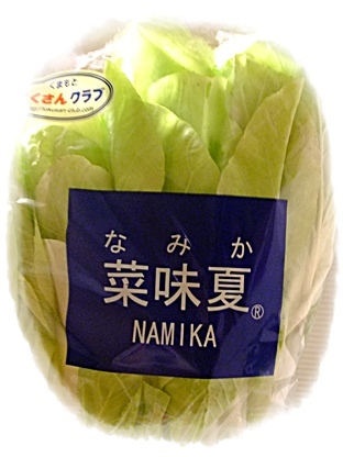 菜味夏