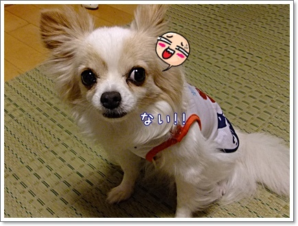 ない!!