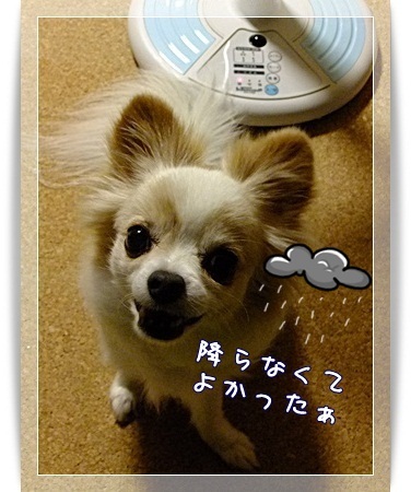 よかった