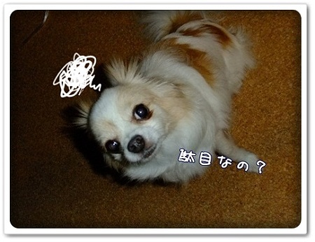 だめ?