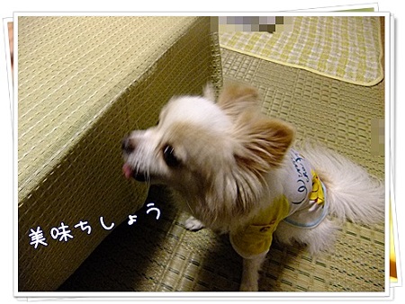 おいしそう